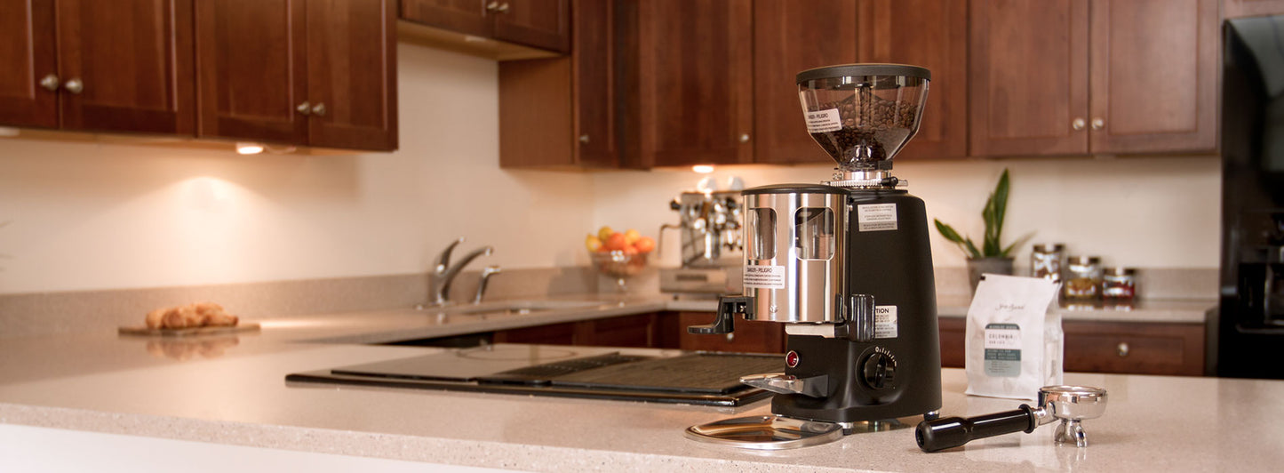 Mazzer Mini Espresso Grinder