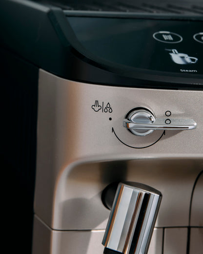 DeLonghi Magnifica Evo ECAM29043SB