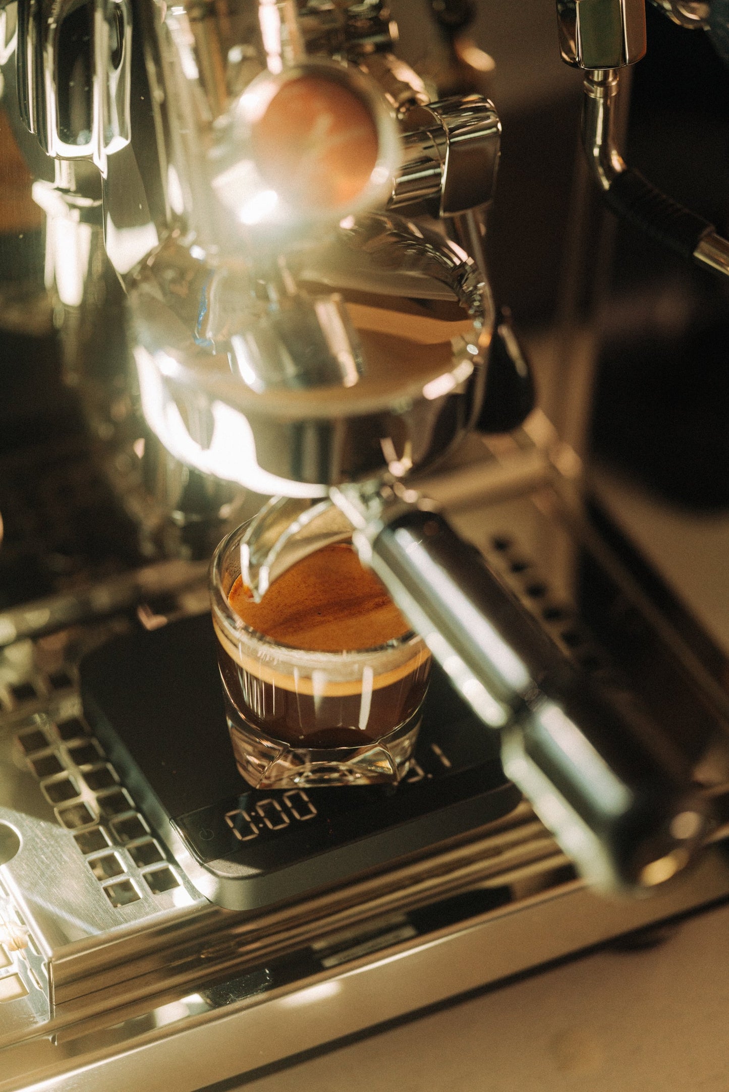 Acaia Lunar Scale