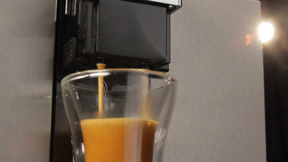 Gaggia Brera Espresso Machine in Silver