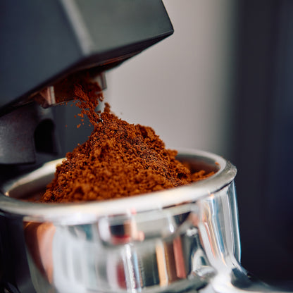 Eureka Mignon Facile Espresso Grinder