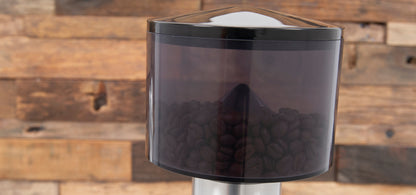 Bezzera BB005 TM Espresso Grinder