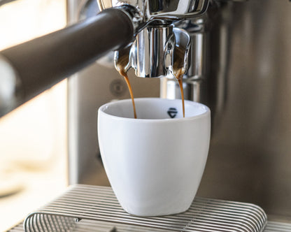 Lelit Mara X3 Espresso Machine