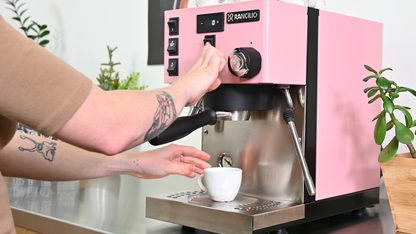 Rancilio Silvia Pro X Dual Boiler Espresso Machine
