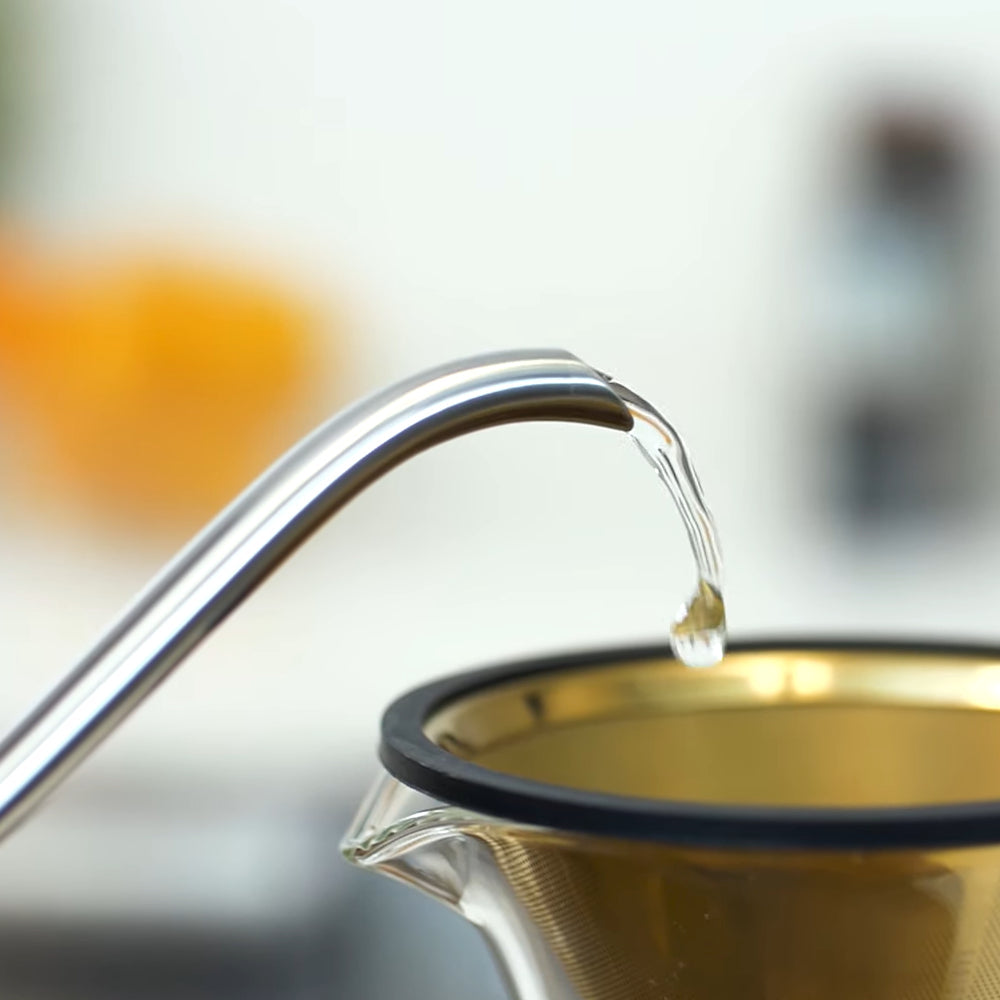 Capresso Pour-Over Kettle