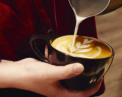 Stone Lite Espresso Machine
