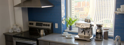Breville BES920XL Dual Boiler Espresso Machine
