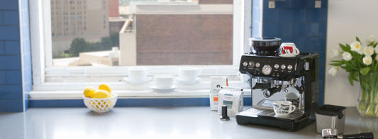 Breville BES870XL Barista Express in Black