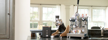 Ceado E37Z-Hero Coffee Grinder