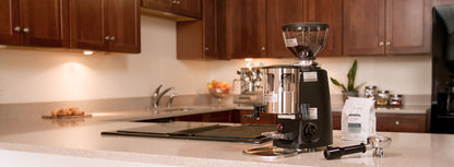 Mazzer Mini Espresso Grinder