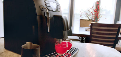 Gaggia Velasca Automatic Coffee and Espresso Machine