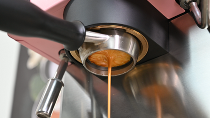 Rancilio Silvia Pro X Dual Boiler Espresso Machine